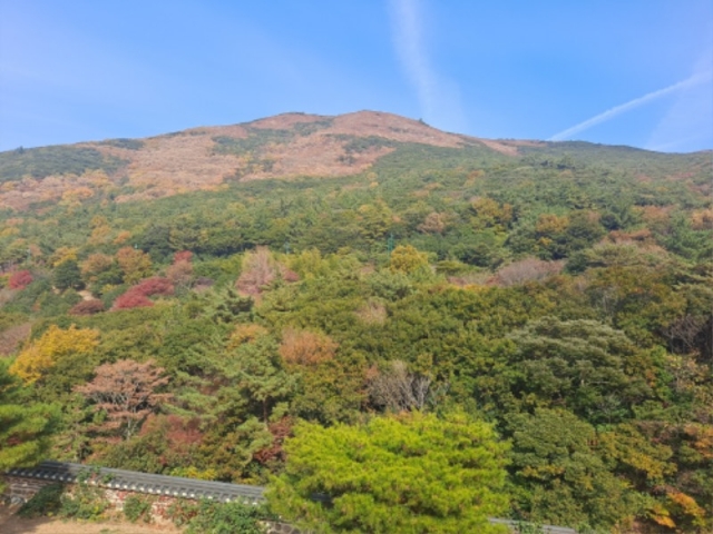 �ϵ������ ������ ��ü����.jpg