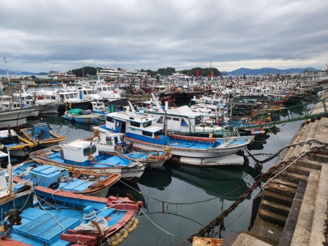 �������������- �2.jpg