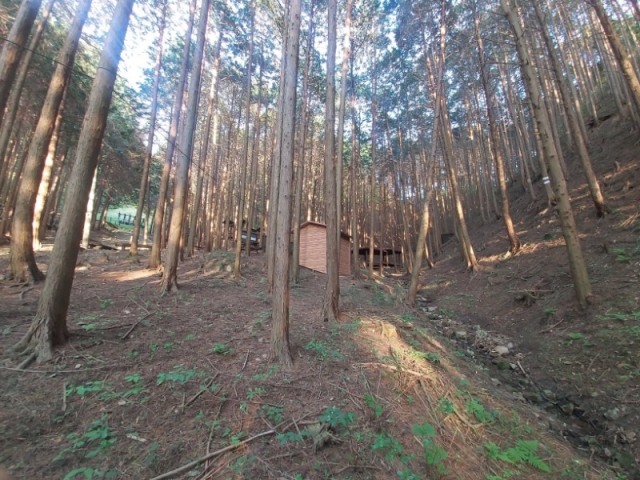 ���޻긲�ڿ� �ڻ�ȭ- �强 ȫ�浿 ��巣��1.jpg