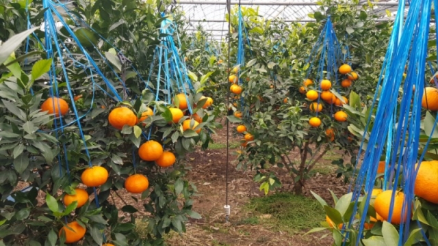 ������ �ϵ��� ���鿡�� ���ǰ� �ִ� ������.jpg