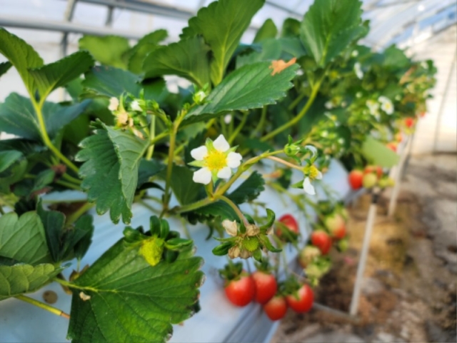 ģȯ�� ��깰- ����2.jpg