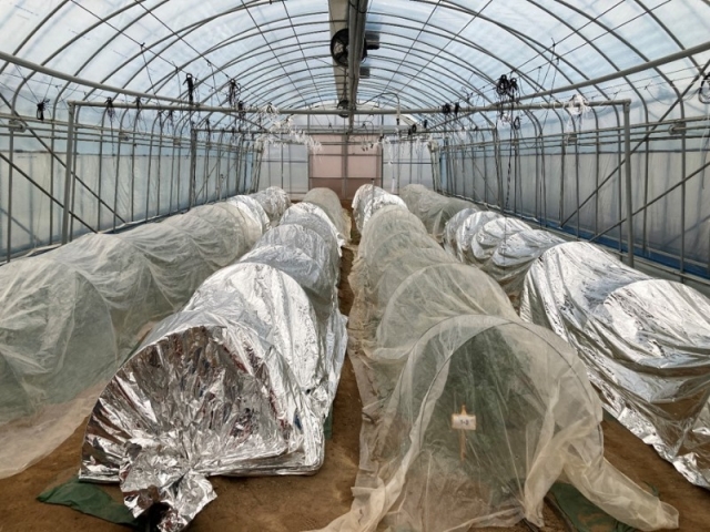 ����(�˷�̴������ʸ� �ܺ�).jpg