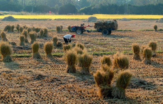 ģȯ���� �濵 ����.jpg