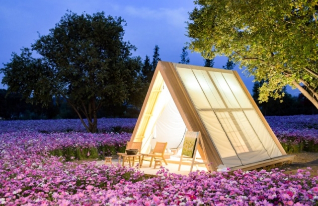 ��õ�����������ڶ�ȸ- ���罺����2.jpg