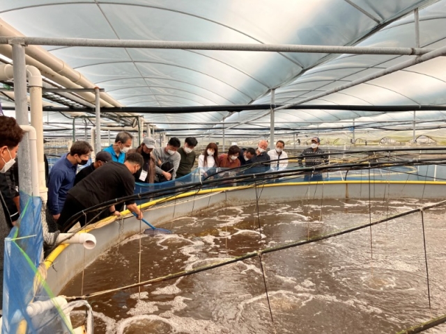 ������ �;��б� ���� ��� (2).jpg