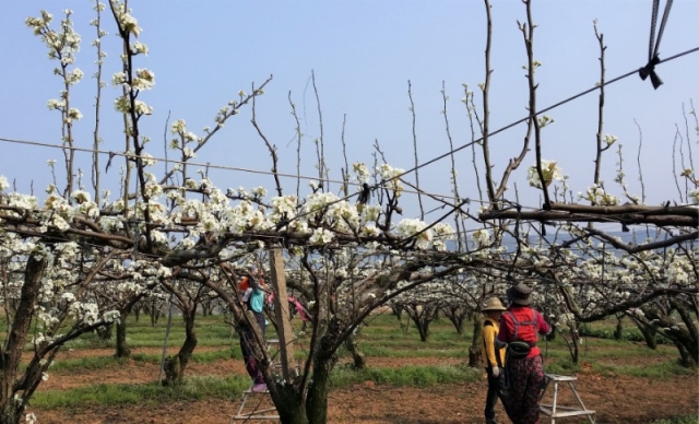 ��ö ���۾�(�� �ɰ��� ����) (1).jpg