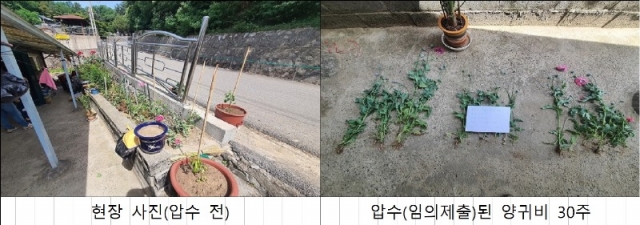 22�� 6�� ���� ���� ȭ��(30��).jpg