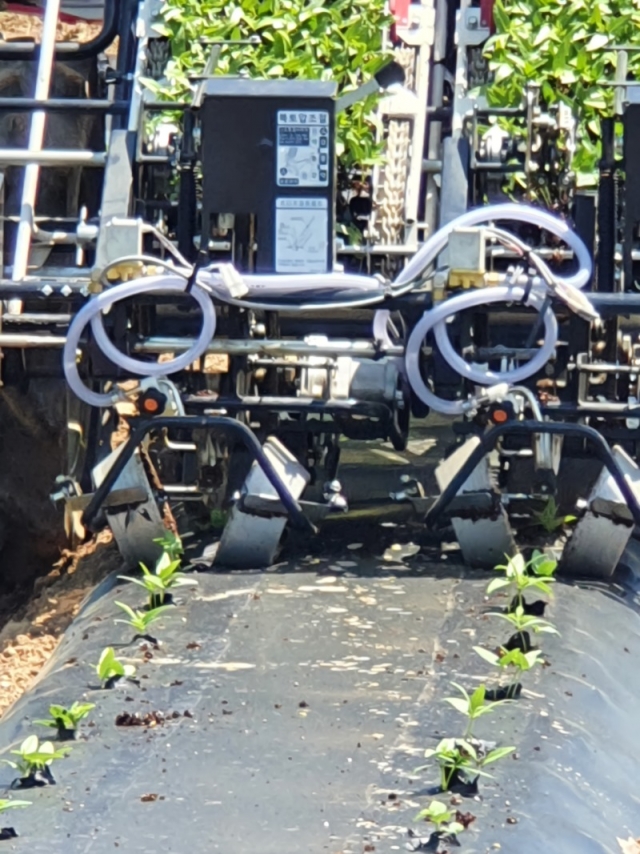 ���� ���- �˰�����չ���1.jpg