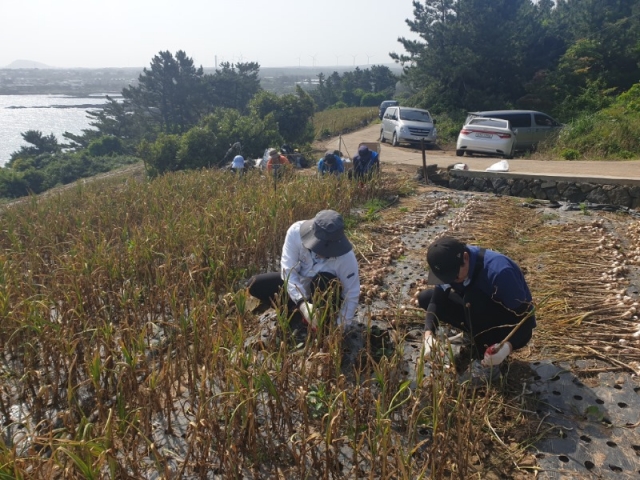 230523 �ϼյ��� 2.jpeg