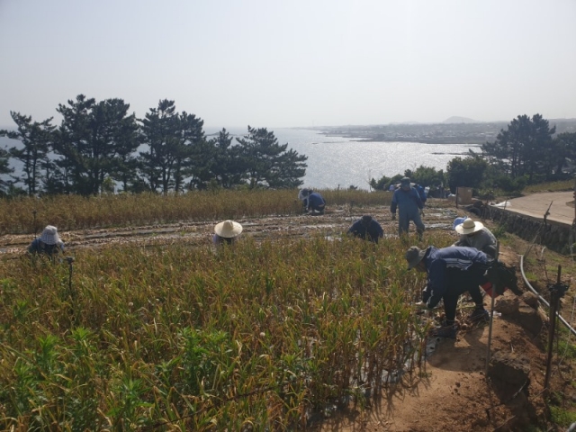 230523 �ϼյ��� 3.jpeg