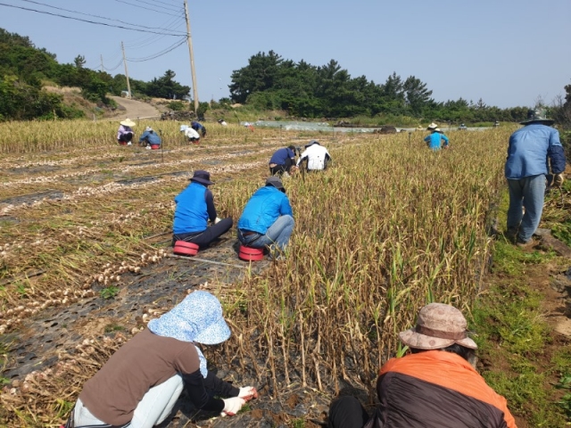 230523 �ϼյ��� 7.jpeg