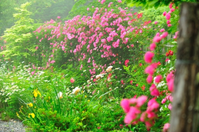 ������ȭ Ȯ��- ��� ��ȭ��(������ ��� ����).jpg