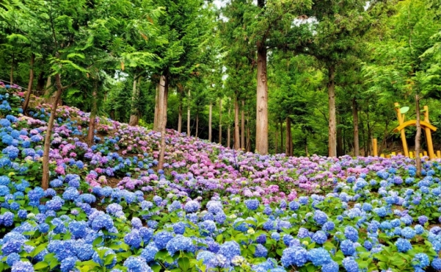 ������ȭ Ȯ��- ���� ��������(������)(��������).jpg