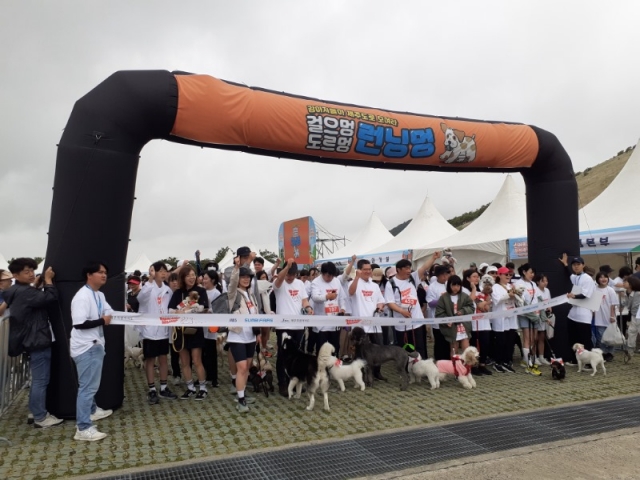 �ݷ����� ����(5).jpg