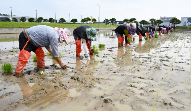 ǳ���縦 �Ȱ� �� �� �𳻱� ��â(������ �ո𳻱�1).jpg