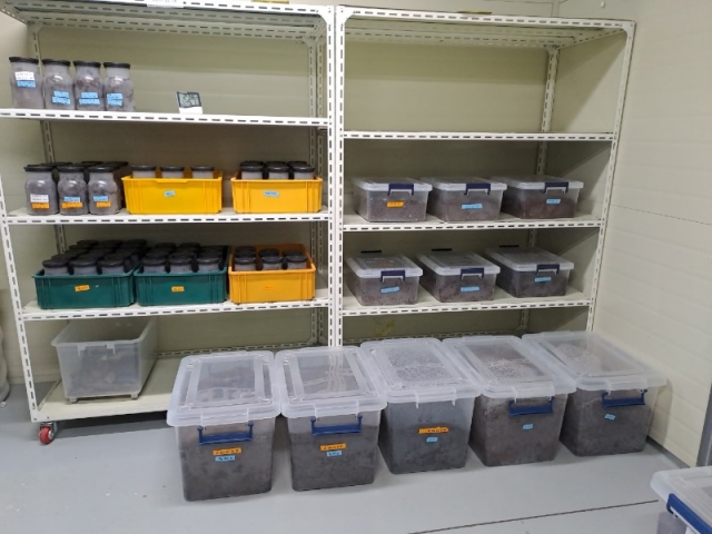 �������̻罿���� ����ȯ��.jpg