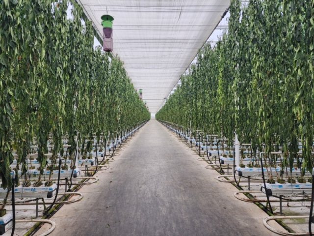 �������� ���λ깰 ������̷� Ż�ٲ�!3.jpg