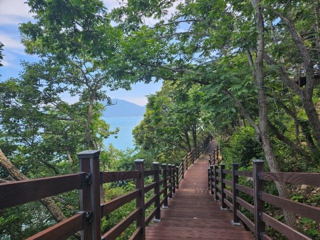 ������ ������ö �Ȱ� ���� ���桯�� ������ �ϵ� ��� �ؾ� ġ���� �� ���� (1).jpg