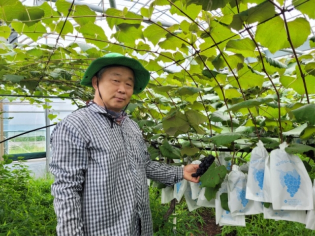 ģȯ�� ��깰 ����� ����(����ȯ ��)2.jpg