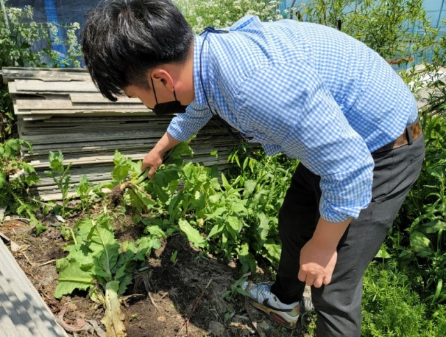 �����ذ�û  �븶����ͺ� ���ߴܼ� 129�� ����.jpg