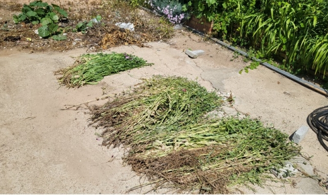 �����ذ�û  �븶����ͺ� ���ߴܼ� 129�� ���� (2).jpg