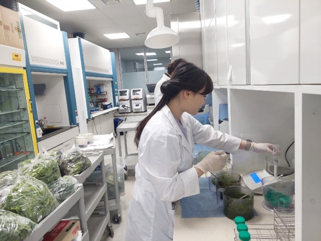 1.[��ȹ] ����� �ϰ� �Դ� ���� �޽� (3)��깰 �ܷ����˻簡 ����Ǵ� ����������.jpg