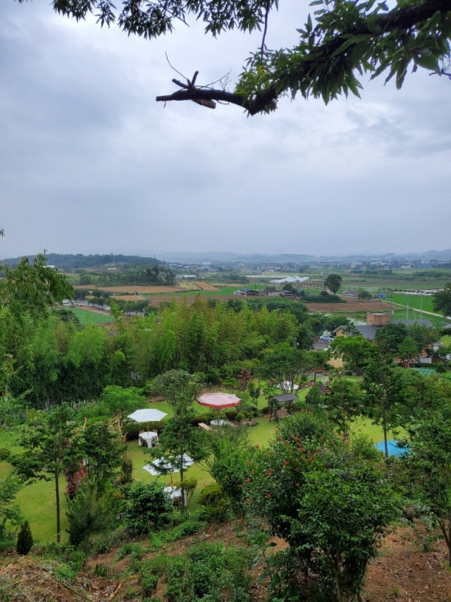 �ΰ�����- ����õ�� ������.jpg