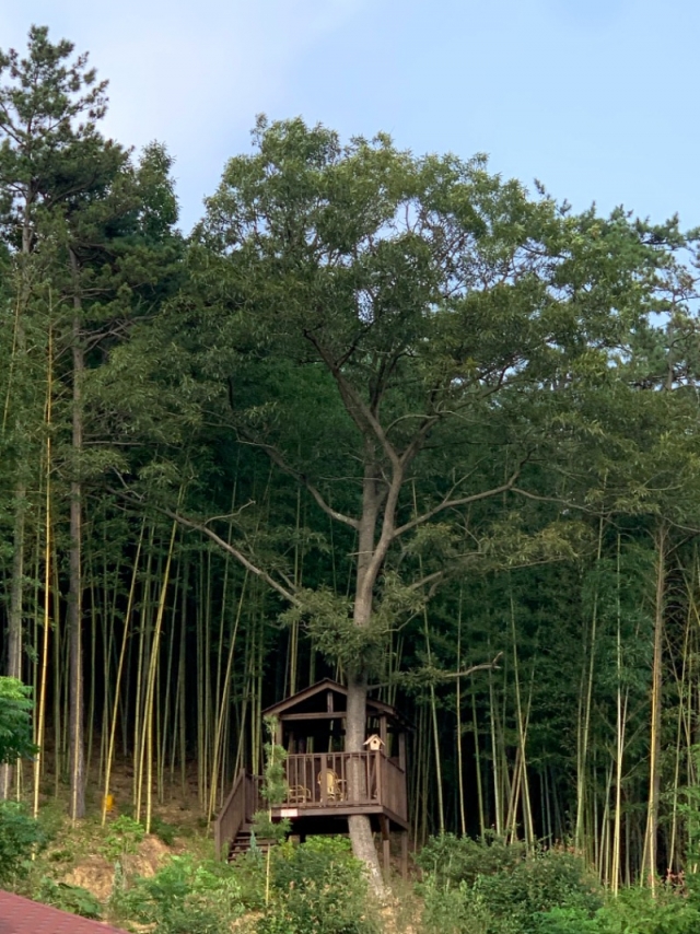 �ΰ�����-����õ�� ������2.JPG