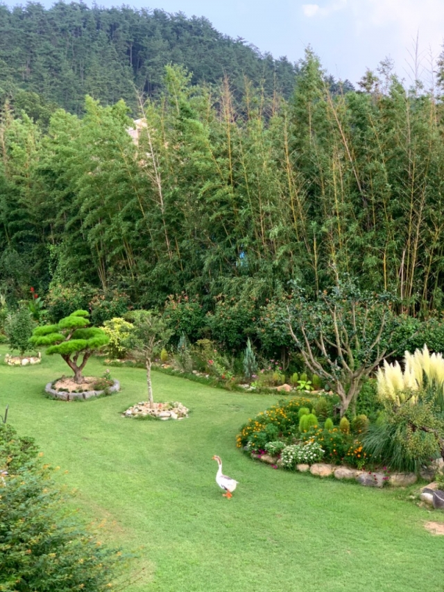 �ΰ�����-����õ�� ������3.JPG