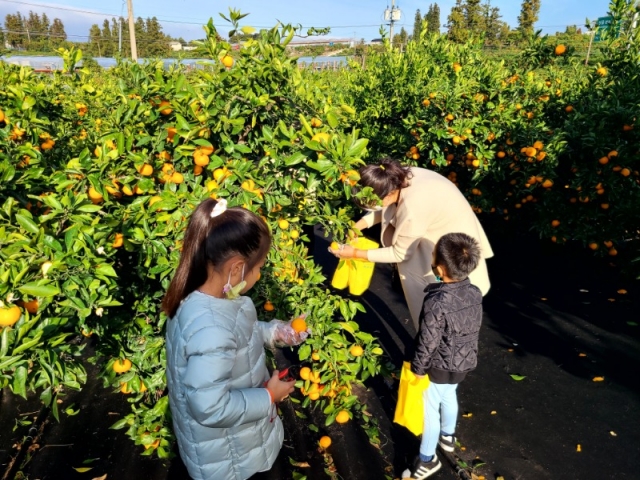 1129 ���ֵ��� ü��_���������� 3.jpg