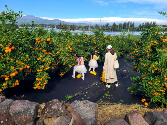 1129 ���ֵ��� ü��_���������� 1.jpg