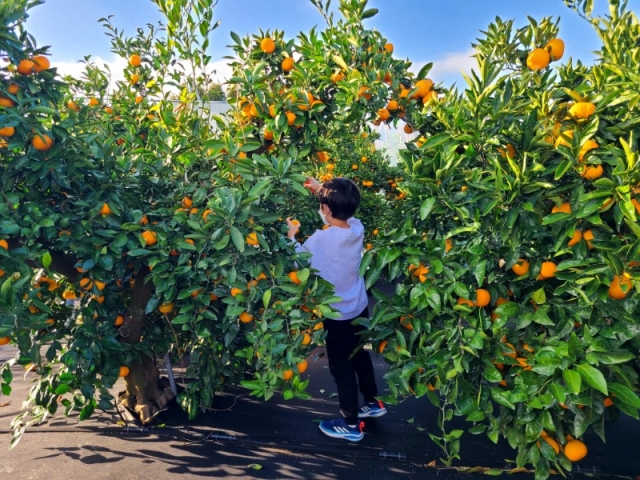 1129 ���ֵ��� ü��_���������� 2.jpg