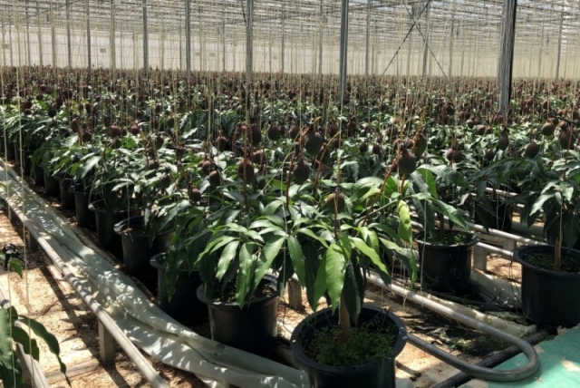 ����Ʈ���- ��������.jpg