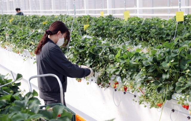 ����Ʈ���- �ü��۹�.jpg