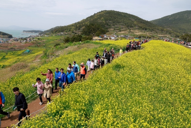 ������ ������ û�굵 ���ΰȱ� ������ ã�� �������� ���.JPG