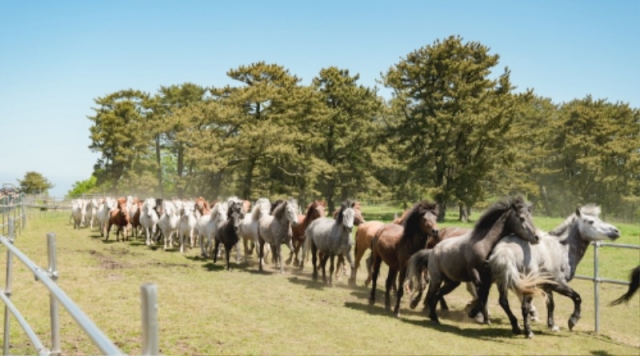 ���ָ� �Ը���� (16).jpg