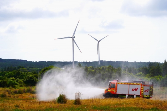 ���������� (2).jpg