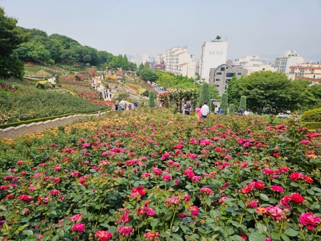 2. ������� �鸸������̿�.jpg